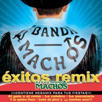 Éxitos Remix - Banda Machos