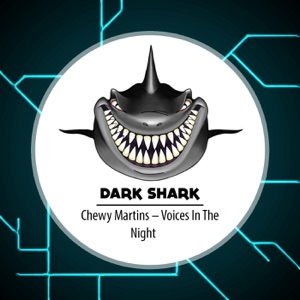 Voices in the Night - Single