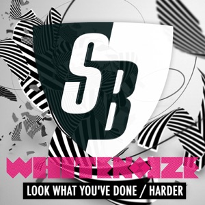 Look What You've Done / Harder - Single
