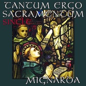 Tantum Ergo Sacramentum artwork