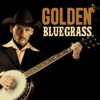Golden Bluegrass