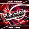 Davin Palmer - New Dawn