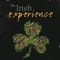 Julia Delaney / Dinny O'Brien's / Drowsy Maggie - The Irish Experience lyrics