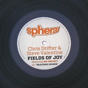 Fields of Joy - Single