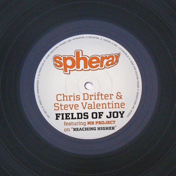 Fields of Joy - Single