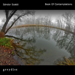 Book of Contemplations