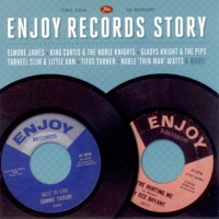 Elmore James Ablum Cover