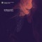 The Doppler Effect - DJ Marky & S.P.Y lyrics