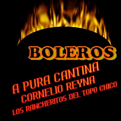 Boleros - Cornelio Reyna Boleros - Cornelio Reyna