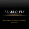 Stream & download Arabian Fly (New Jeddah ''King Abdulaziz'' Airport Soundtrack) - Single