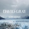 David Gray - The one.