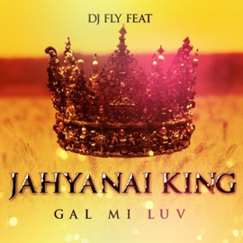 Gal mi luv (feat. Jahyanai King) DJ Fly