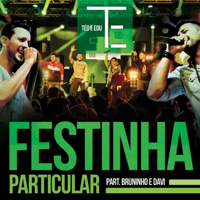 Festinha Particular (feat. Bruninho & Davi) - Single - Téo e Edu