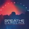 Hit and Run - Breathe Carolina lyrics