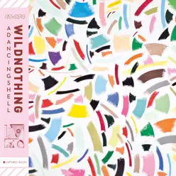 A Dancing Shell - Single - Wild Nothing