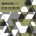 Like It More & More (Sebastian Weikum Pres The Vehicle Rmx)