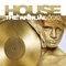 Running (Festival Mix) [feat. Mitch Crown] - Fedde Le Grand, Sultan & Ned Shepard lyrics