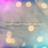 Dont Want to Let You Go (feat. Troy Denari) - Jeremy Sylvester