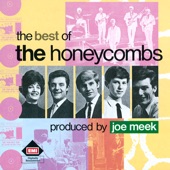 The Honeycombs - She's Too Way Out