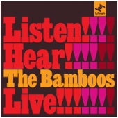 The Bamboos - I Don't Wanna Stop