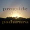 Poetic Joy (Techhouse Mix) - Paduraru lyrics