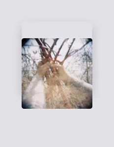 The Reverie Machineを聴いたり、ミュージックビデオを鑑賞したり、経歴やツアー日程などを確認したりしましょう！