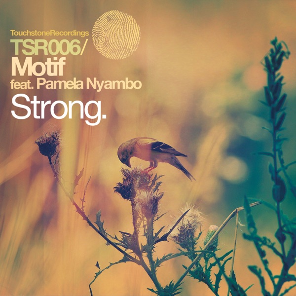 Strong (Remixes) [feat. Pamela Nyambo] - EP
