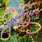 Pas Quitez Y - Spectrum Band lyrics