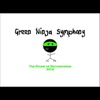 The Stone of Recomposing: Green Ninja Symphony artwork