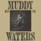 I'm a King Bee - Muddy Waters lyrics