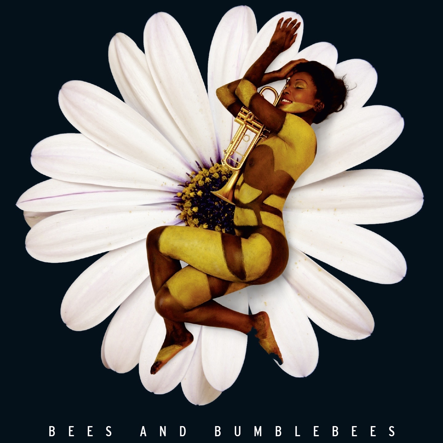 Bees and Bumblebees (feat. Greg Houben, Fabian Fiorini, Cedric Raymond & Hans Van Oosterhout)
