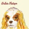 A Million Times (Invisible Twin Remix) - Alpaca Sports lyrics