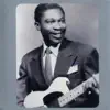 B.B. King - Please Hurry Home