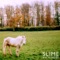 2 Player (feat. Vondelpark) - Slime & Vondelpark lyrics