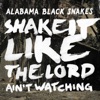 Alabama Black Snakes - Drinking with Myself