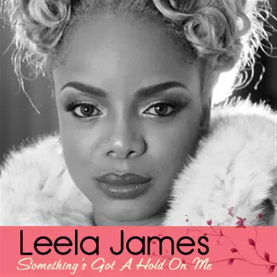 Something's Got a Hold On Me - Single - Leela James