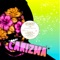 Peninsula Run (Fer BR Remix) - A-Inc & Fer BR lyrics