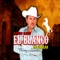 La Fiesta De Los Pleves - Alfredo Elenes El Blanco De Sinaloa lyrics