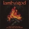 Lamb Of God