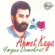 Yorgun Demokrat - Ahmet Kaya