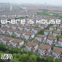 Where Is House - Single - Javi Vila & David Sure