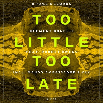 Too Little Too Late (feat. Robert Owens)