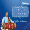 Nadha Layam - Trichy Sankaran