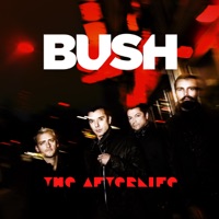 The Afterlife - Single - Bush