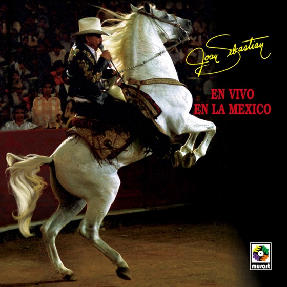 Cover artwork for Torera