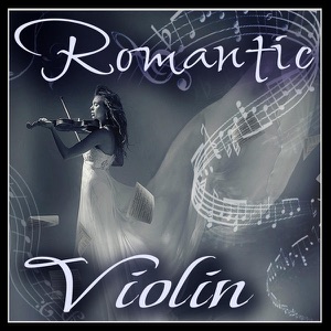 Violin Concerto No.5 in A major, K. 219 : II. Adagio