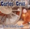 No Me Doy Por Vencido - Carlos Cruz lyrics