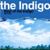 the Indigo