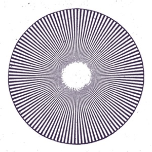 Mirrors - Single