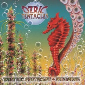 Ozric Tentacles - Spiral Mind